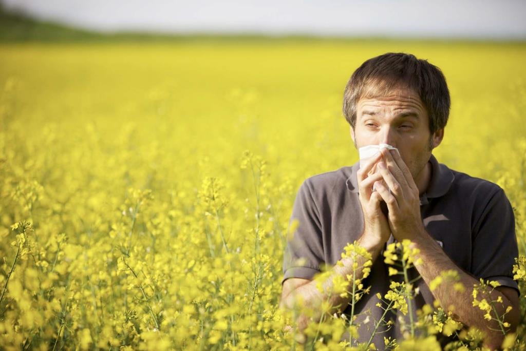How to Prepare for Hay Fever Spencer Private Hospitals